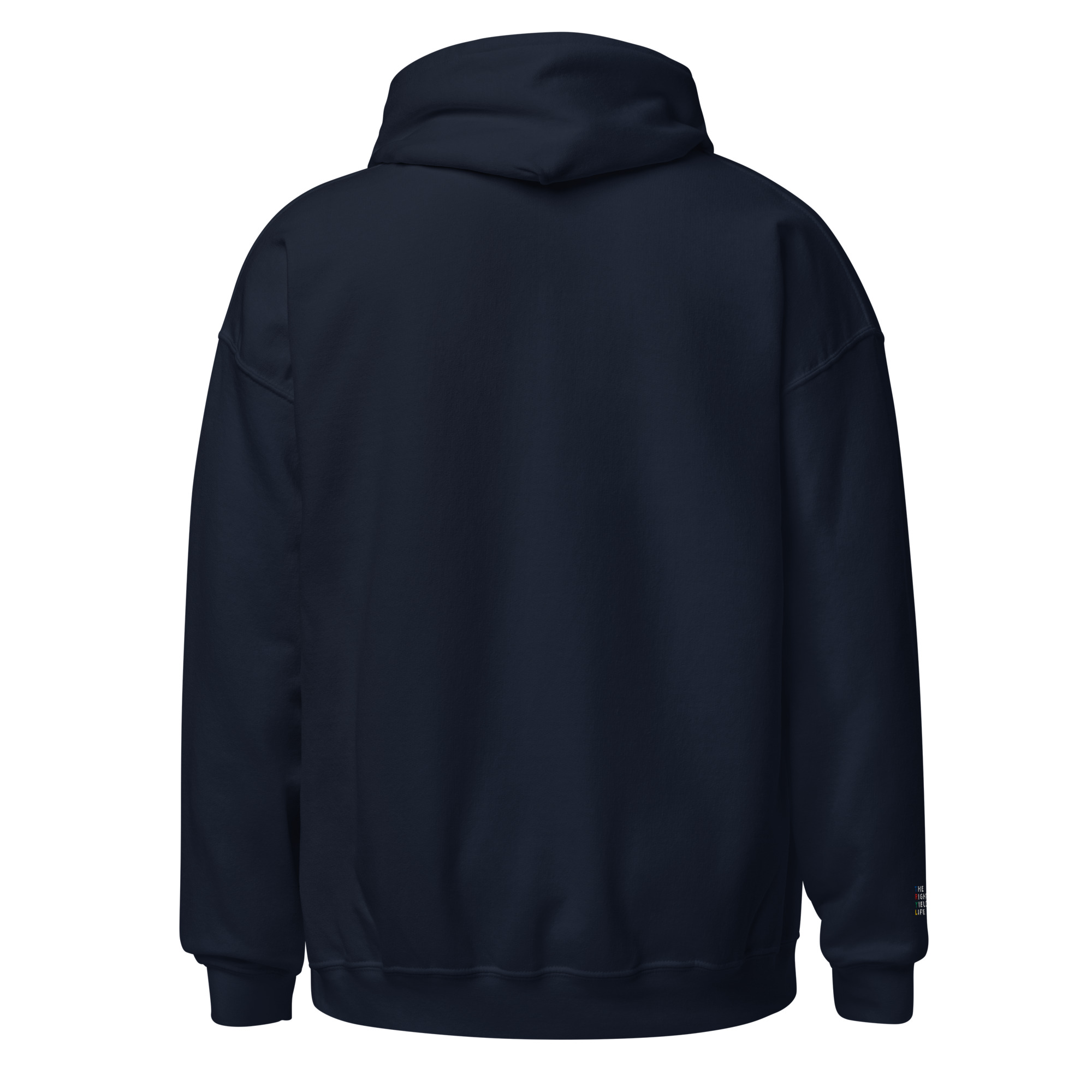 Navy EMB TRYL Hoodie - Image 4