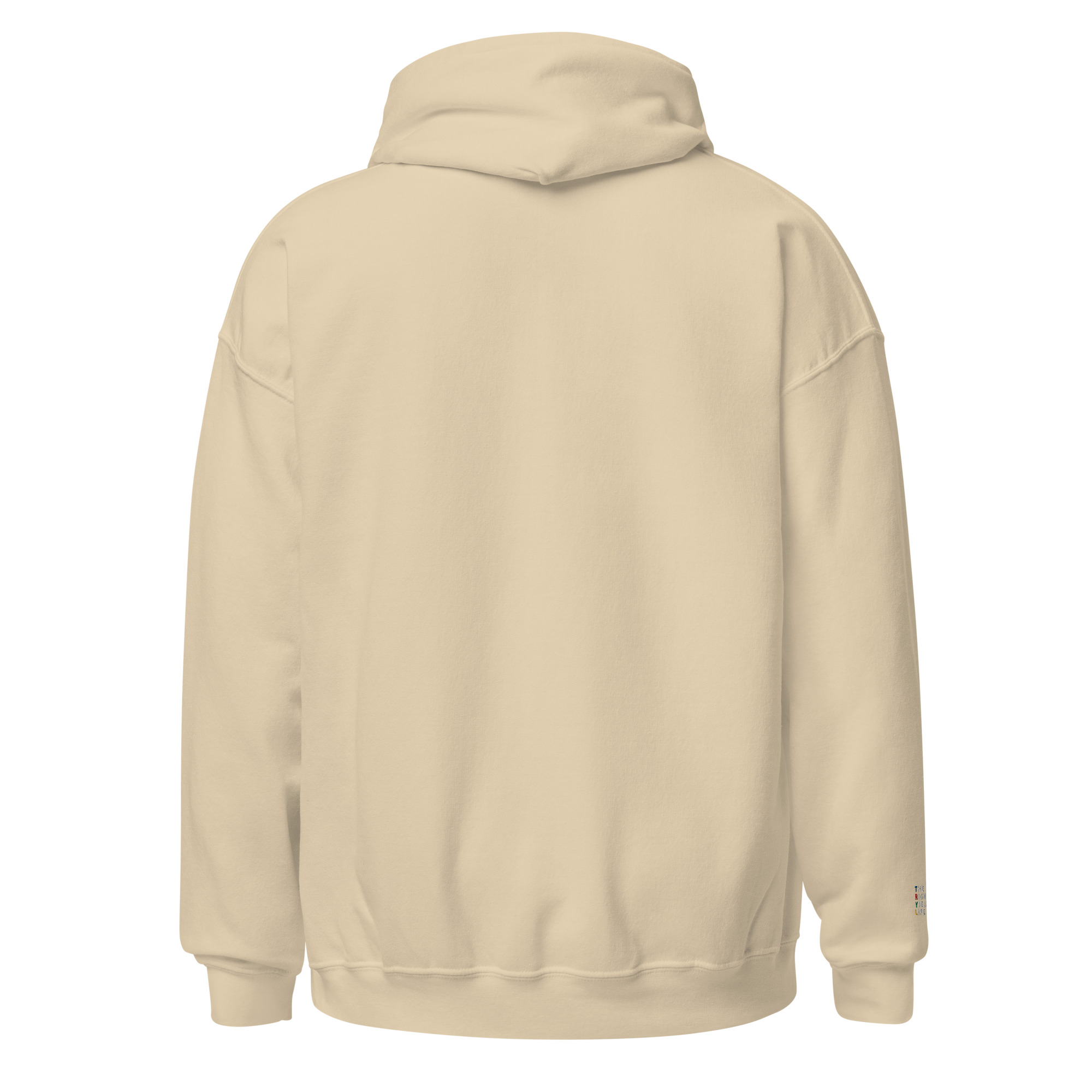 Sand EMB TRYL Hoodie - Image 4