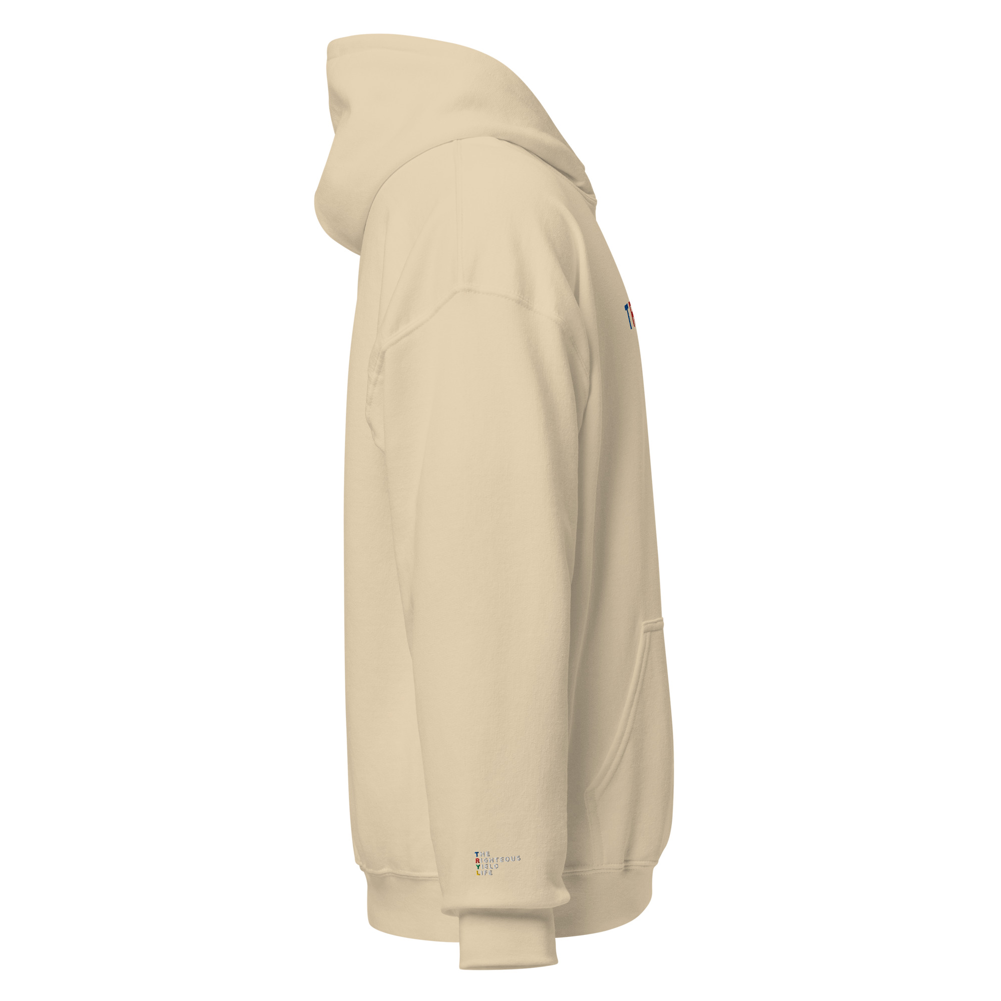 Sand EMB TRYL Hoodie - Image 3